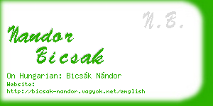 nandor bicsak business card